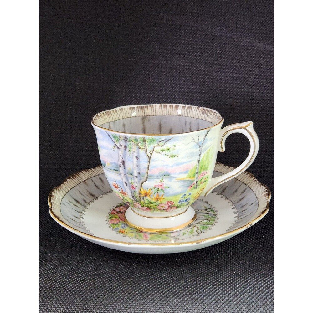 Vintage Royal Albert Crown China Tea Cup & Saucer Set In Silver Birch Pattern